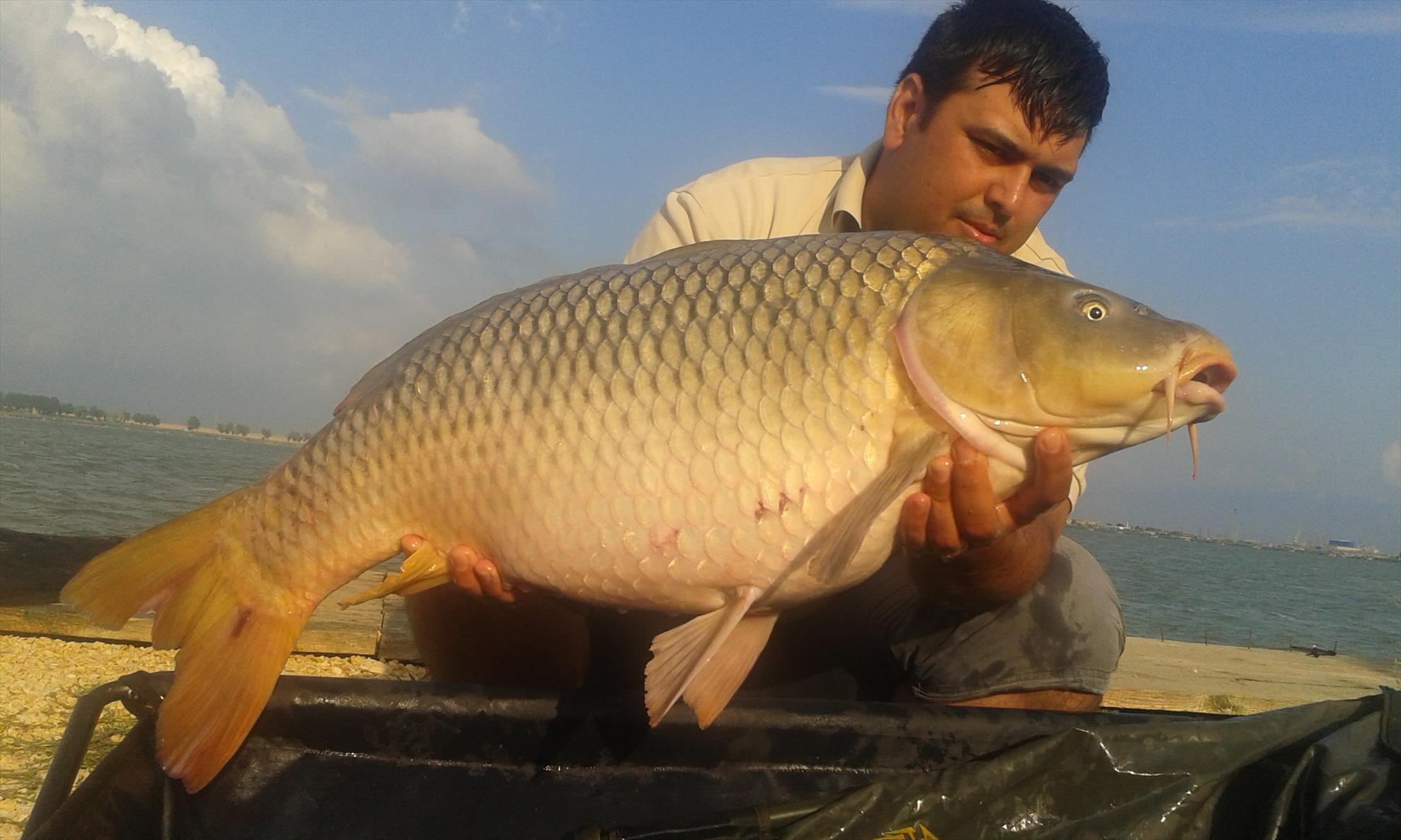 Corbu 3 - 5 iulie 2015 - 20150704185219.jpg